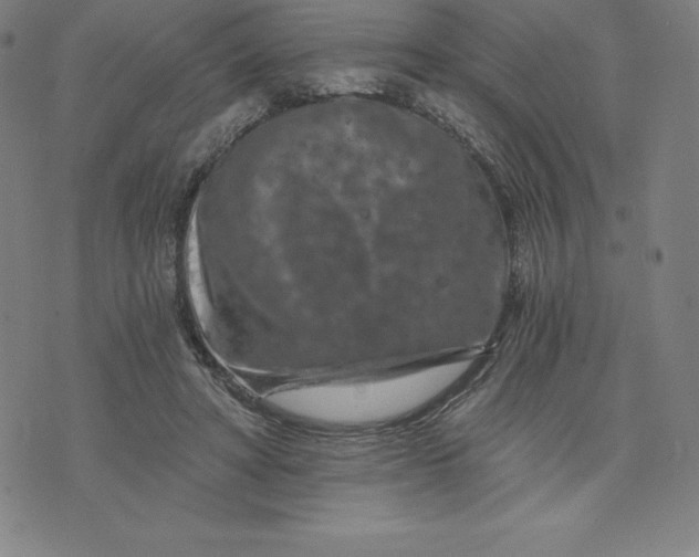 X0000074000402200609111603