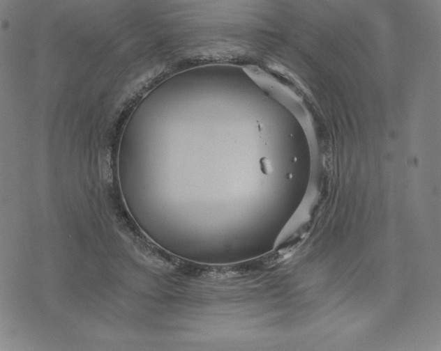 X0000074000403200609111603