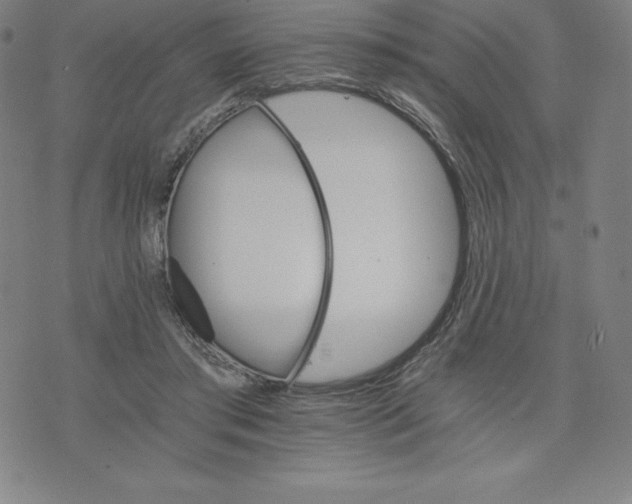 X0000074000405200609111603