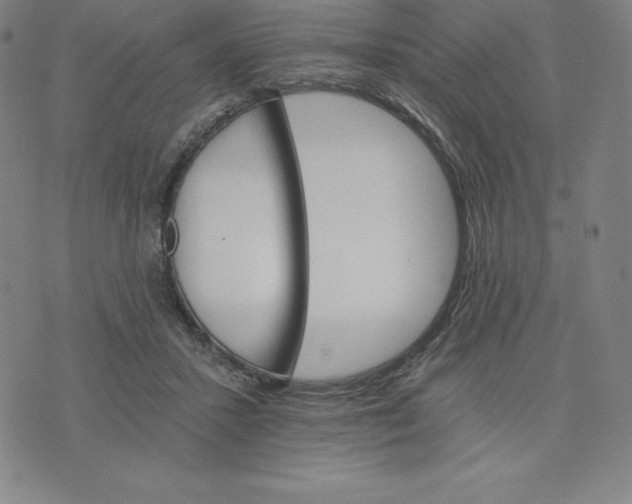 X0000074000407200609111603