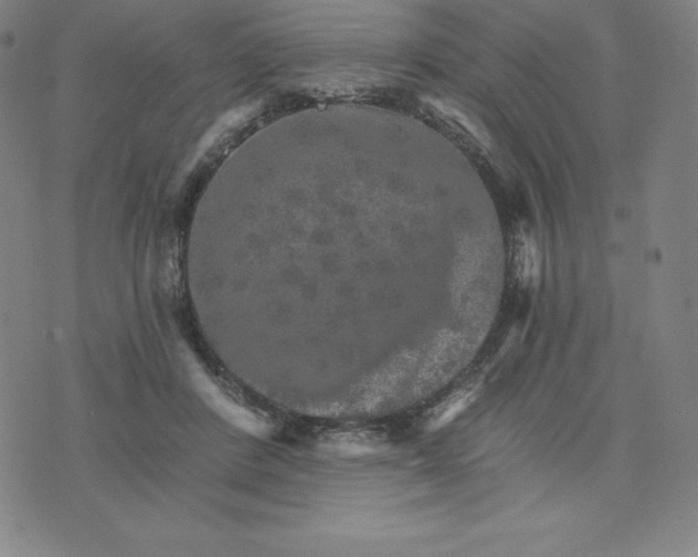 X0000074000408200609111603