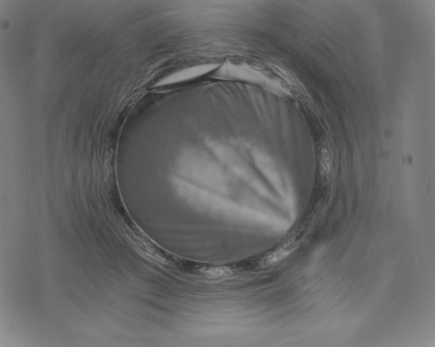 X0000074000409200609111603