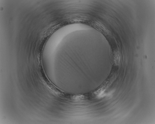 X0000074000410200609111603