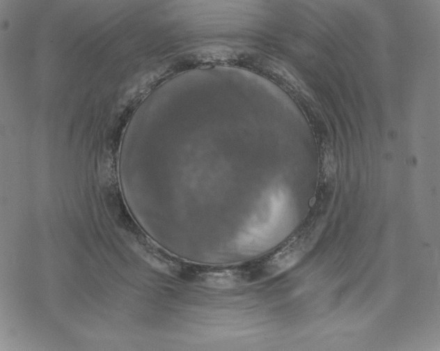 X0000074000411200609111603