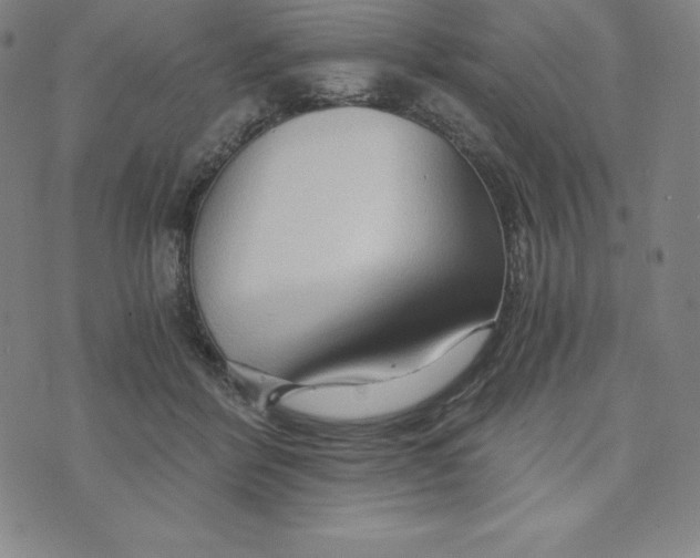 X0000074000412200609111603