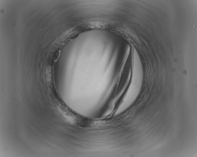 X0000074000413200609111603