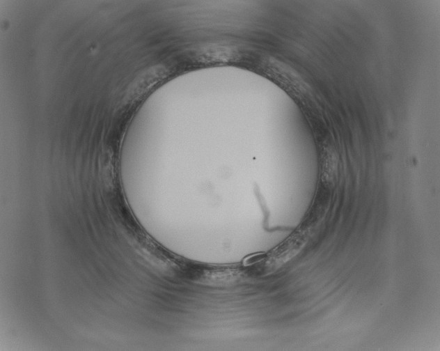 X0000074000414200609111603