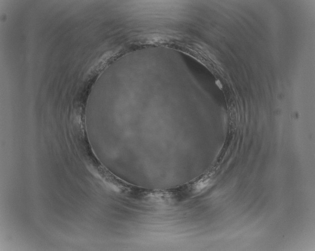 X0000074000415200609111603