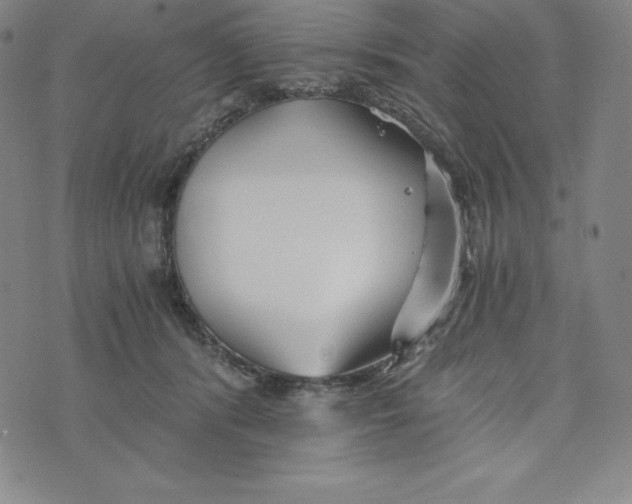 X0000074000416200609111603