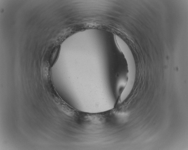 X0000074000417200609111603