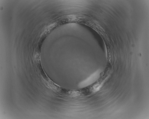 X0000074000419200609111603