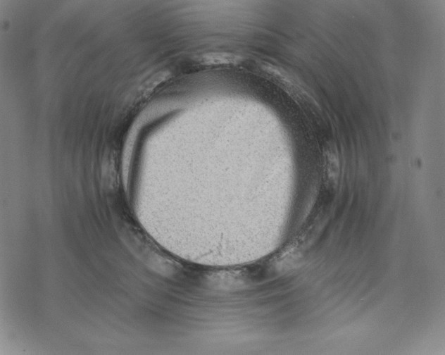 X0000074000422200609111603