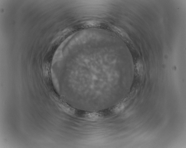 X0000074000423200609111603