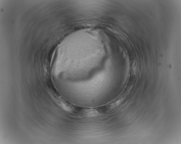 X0000074000424200609111603