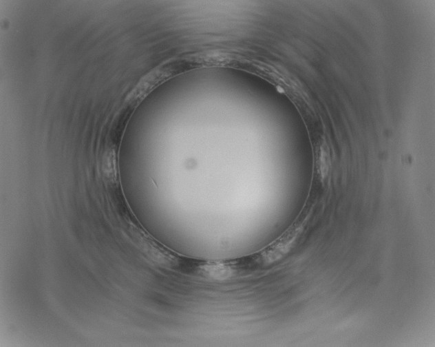 X0000074000425200609111603