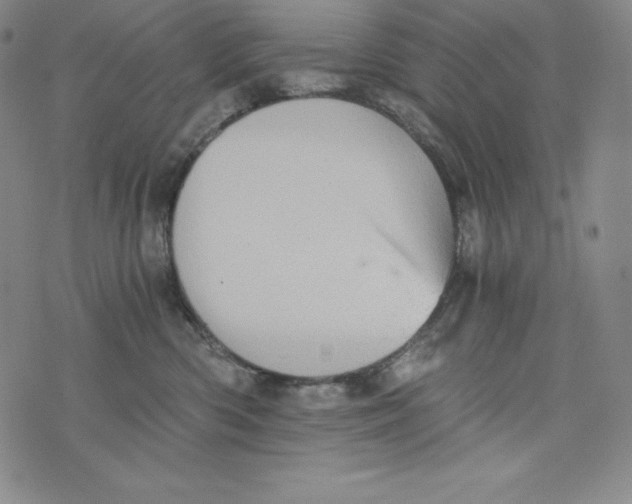 X0000074000426200609111603