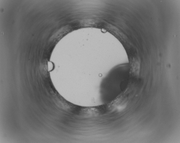 X0000074000427200609111603