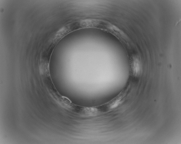 X0000074000429200609111603