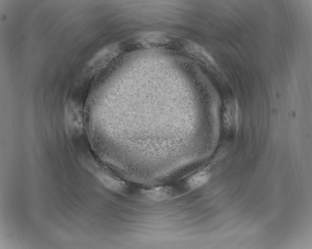 X0000074000430200609111603