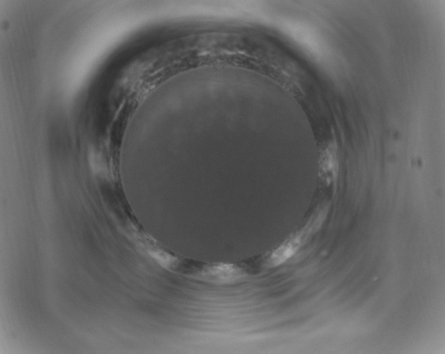 X0000074000431200609111603