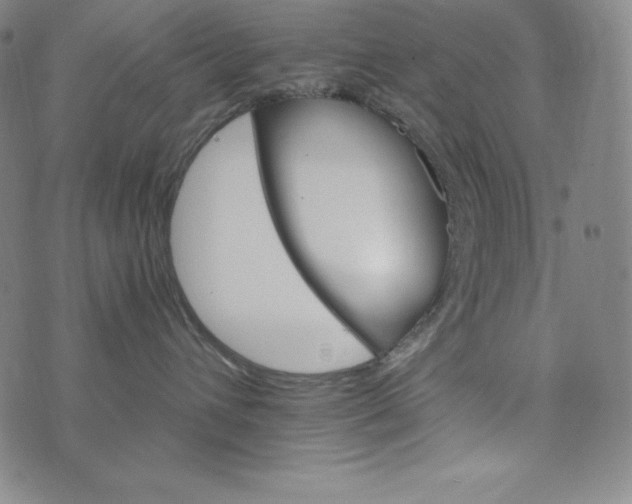 X0000074000432200609111603