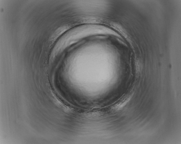 X0000074000433200609111602