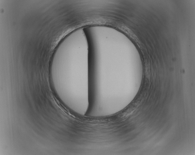 X0000074000434200609111602