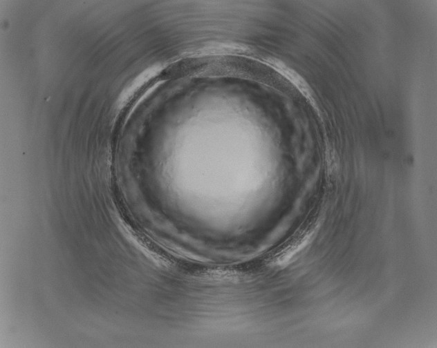 X0000074000437200609111602