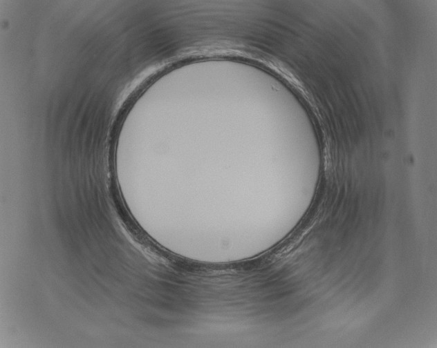 X0000074000438200609111602