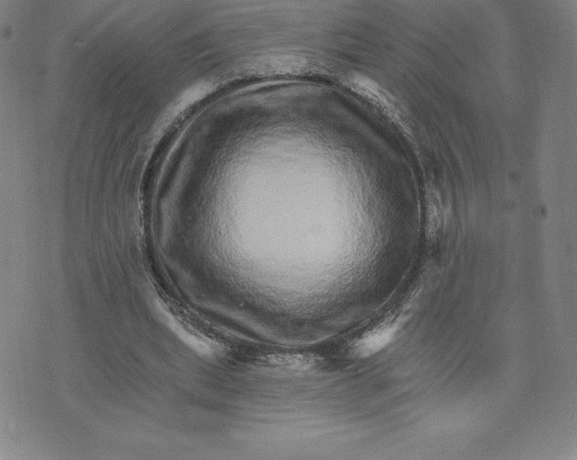 X0000074000439200609111602