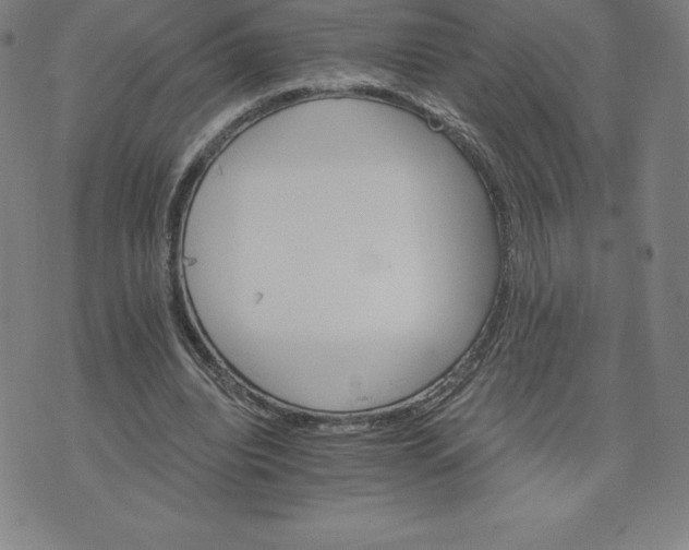 X0000074000440200609111602