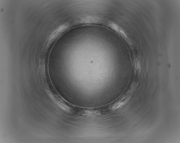 X0000074000442200609111602