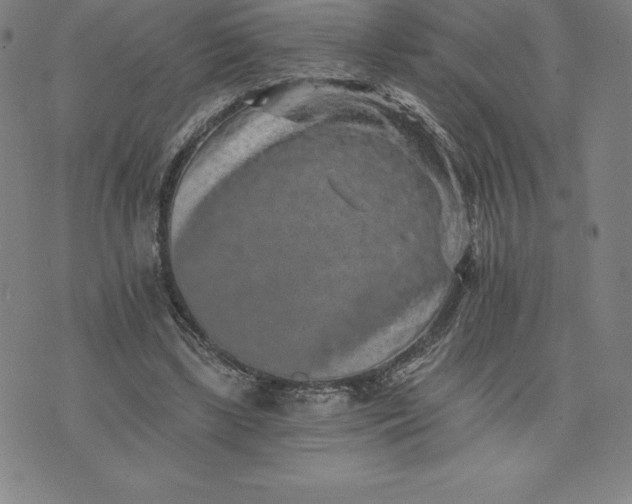 X0000074000443200609111602