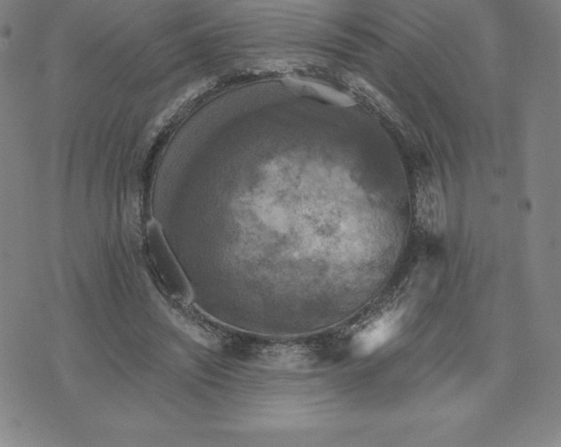 X0000074000444200609111602