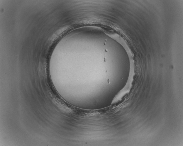 X0000074000446200609111602