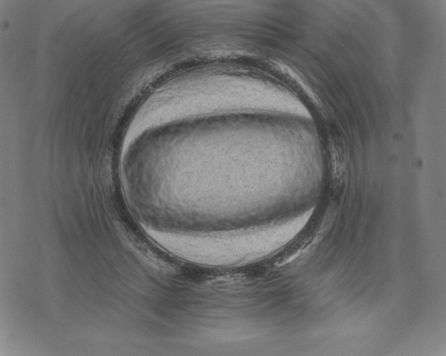 X0000074000447200609111602