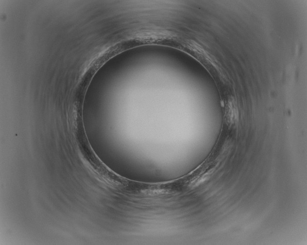 X0000074000448200609111602