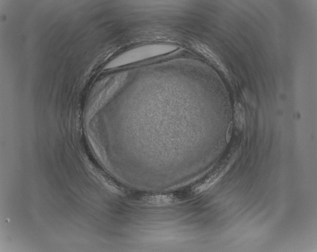 X0000074000449200609111602