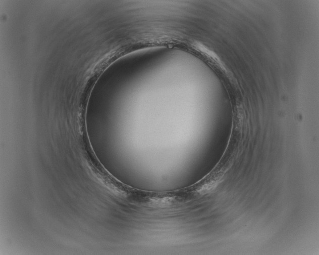 X0000074000450200609111602