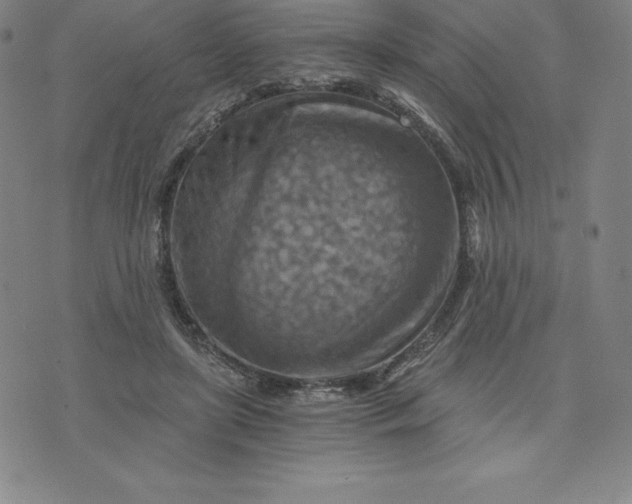 X0000074000451200609111602