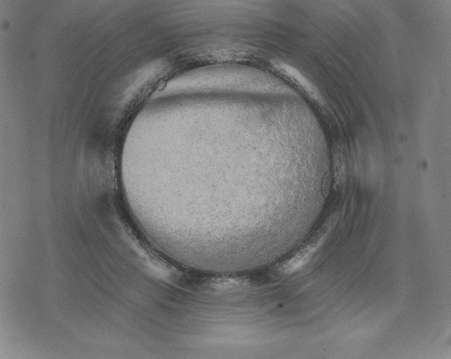 X0000074000453200609111602