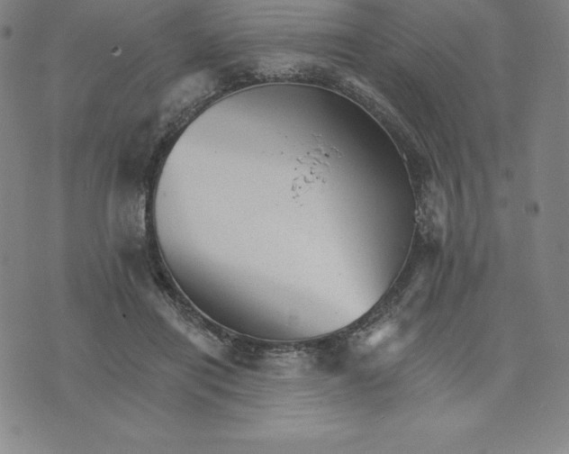 X0000074000454200609111602