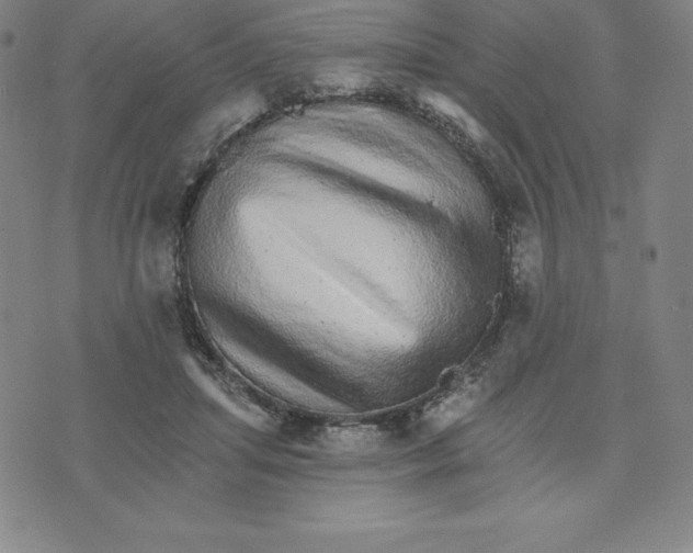 X0000074000455200609111602