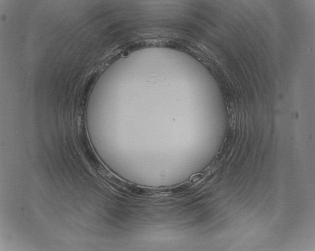 X0000074000456200609111602