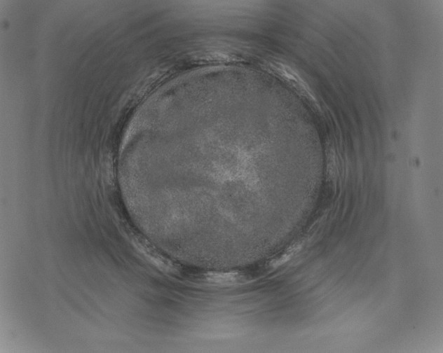 X0000074000457200609111602