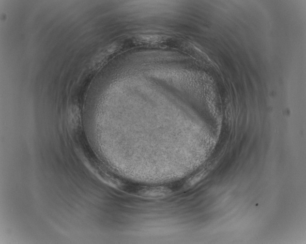 X0000074000459200609111602