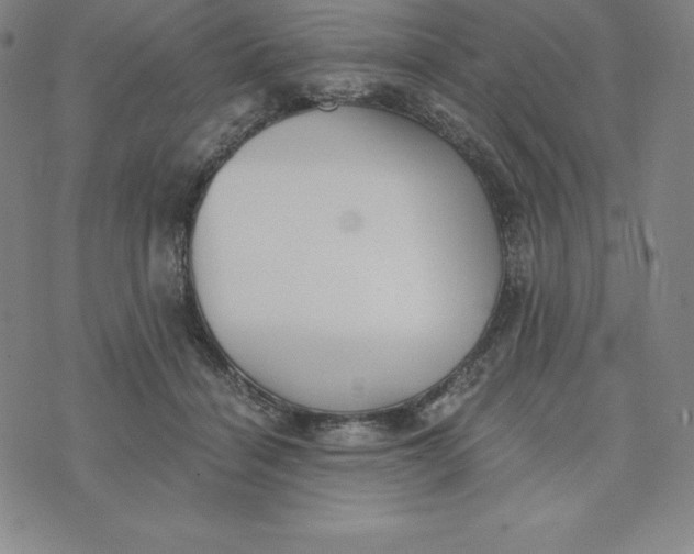 X0000074000460200609111602