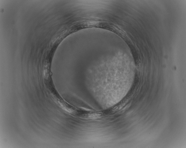 X0000074000462200609111603