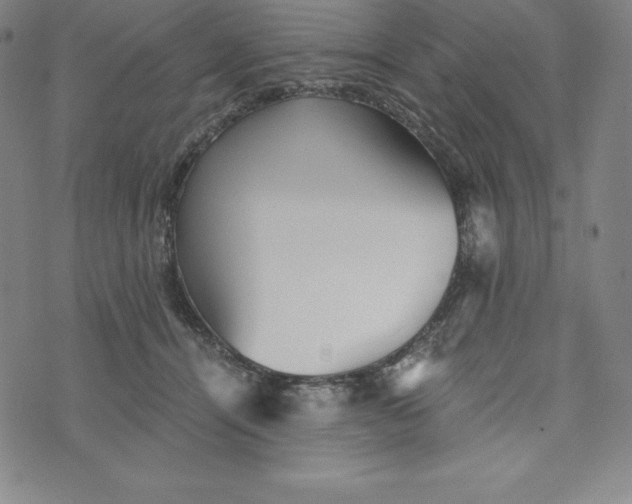 X0000074000464200609111603