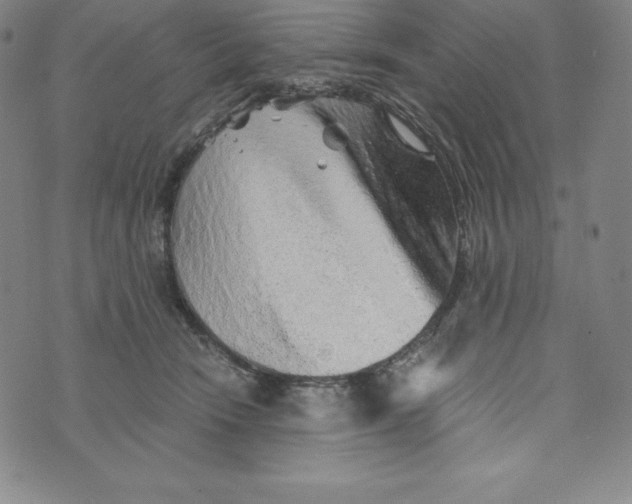 X0000074000466200609111603